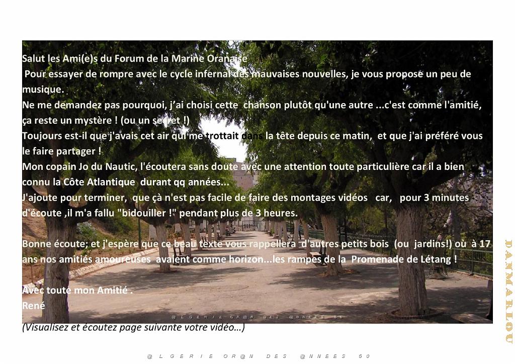a 2023 SALUT LES AMIS.jpg